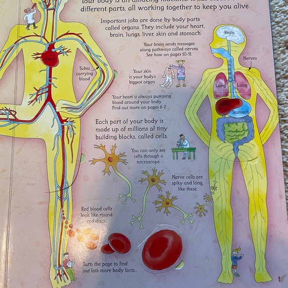 Usborne Book - Picture 2 of 5